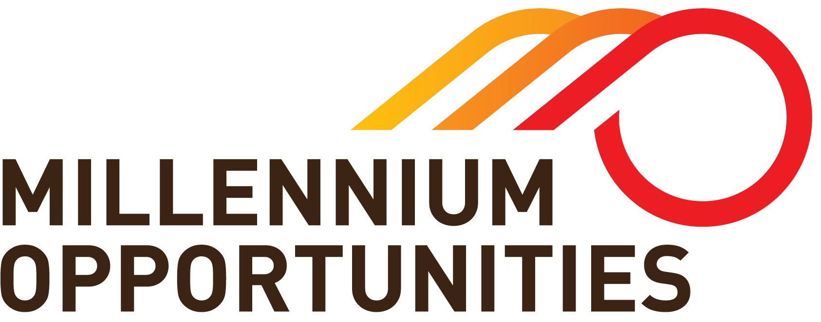 Millennium Opportunities LLC